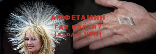 прущие грибы Балабаново