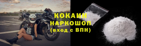 прущие грибы Балабаново