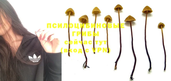Альфа ПВП Баксан