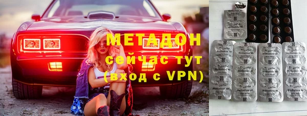 шишки Арсеньев