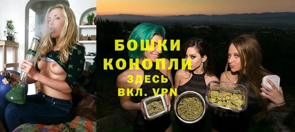 шишки Арсеньев